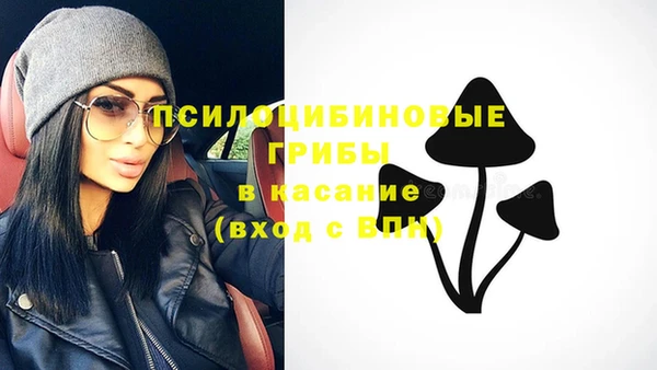 ECSTASY Вязьма