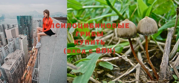 мяу мяу кристалл Вяземский