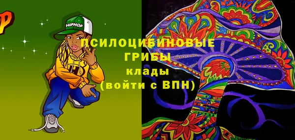 мдпв Верхний Тагил